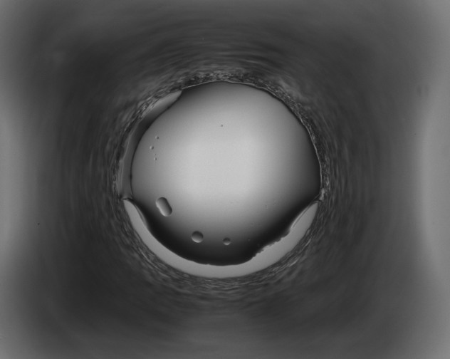 X0000083001109200703020858