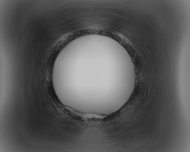 X0000083001110200703020858