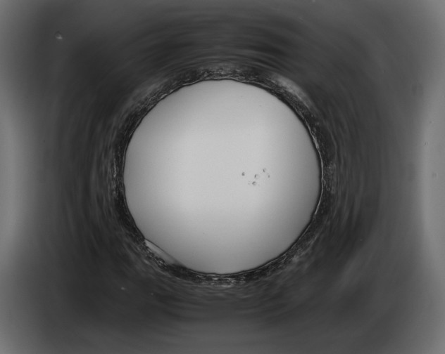 X0000083001111200703020858