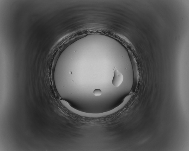 X0000083001112200703020858