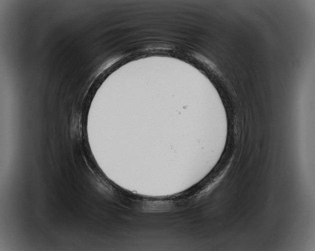 X0000083001113200703020858