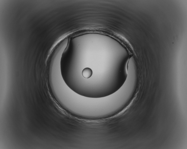 X0000083001114200703020858