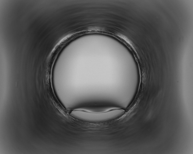 X0000083001115200703020858