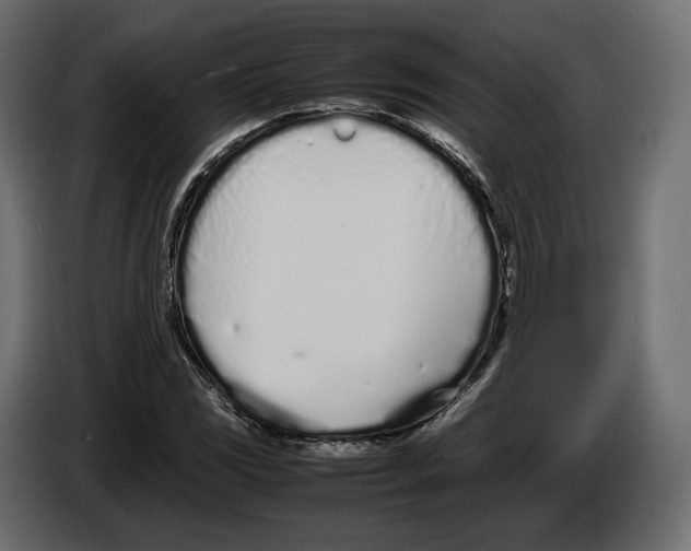 X0000083001117200703020858