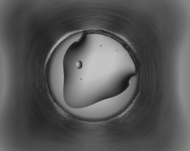 X0000083001118200703020858