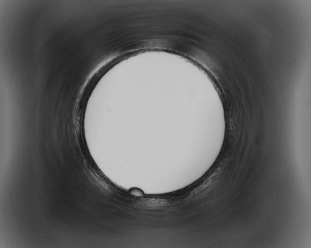 X0000083001119200703020858