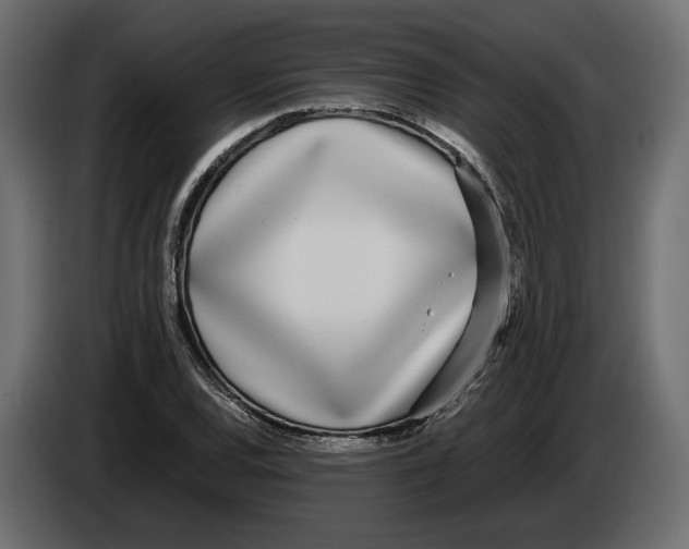 X0000083001120200703020858