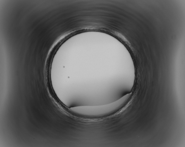 X0000083001122200703020858