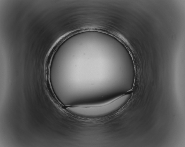 X0000083001124200703020858