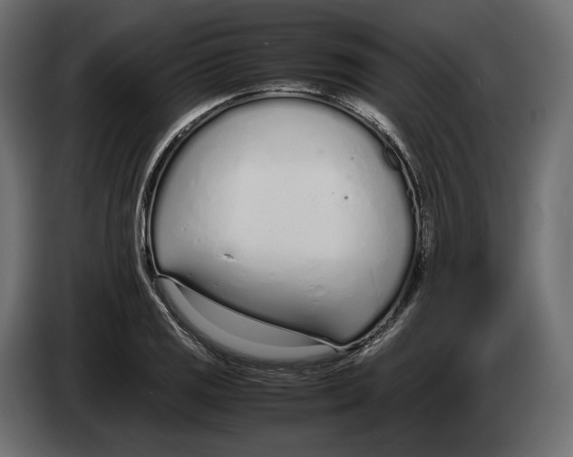 X0000083001125200703020859