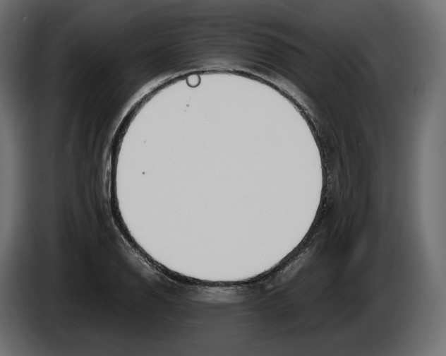 X0000083001126200703020859