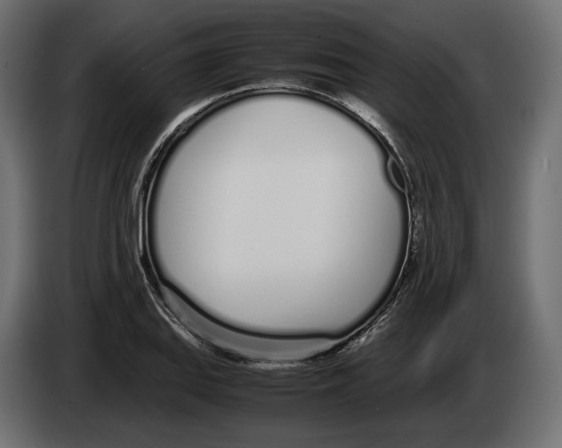 X0000083001127200703020859