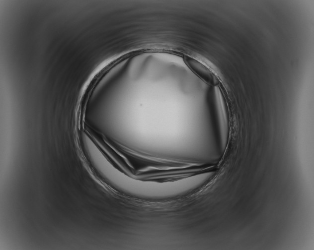 X0000083001128200703020859