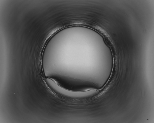 X0000083001129200703020859