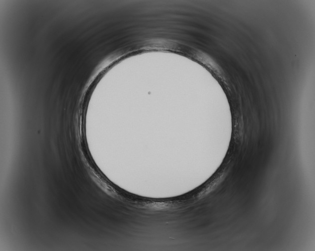 X0000083001130200703020859