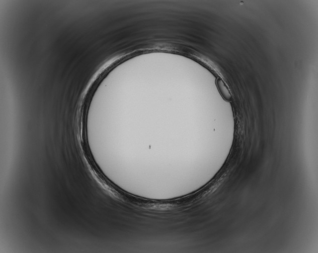 X0000083001131200703020859