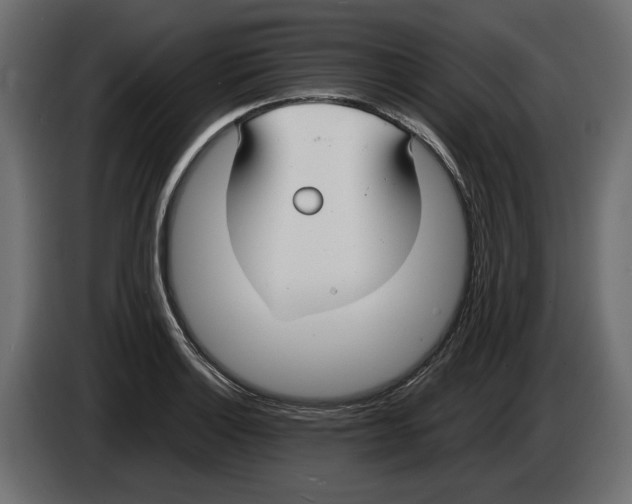 X0000083001132200703020859