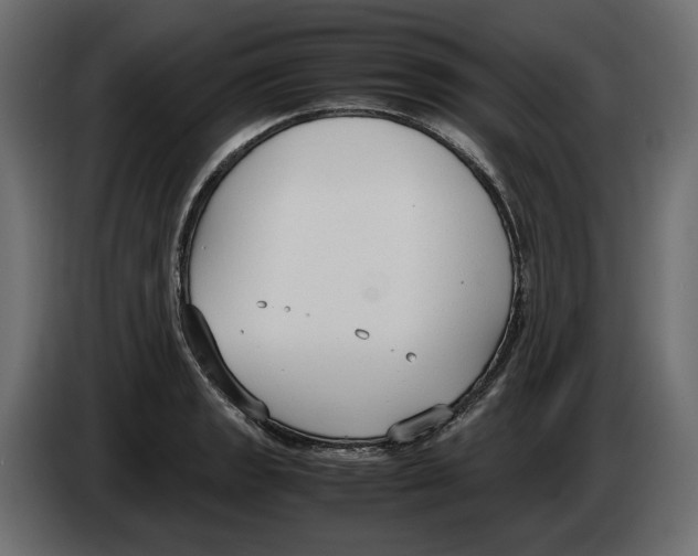 X0000083001133200703020859