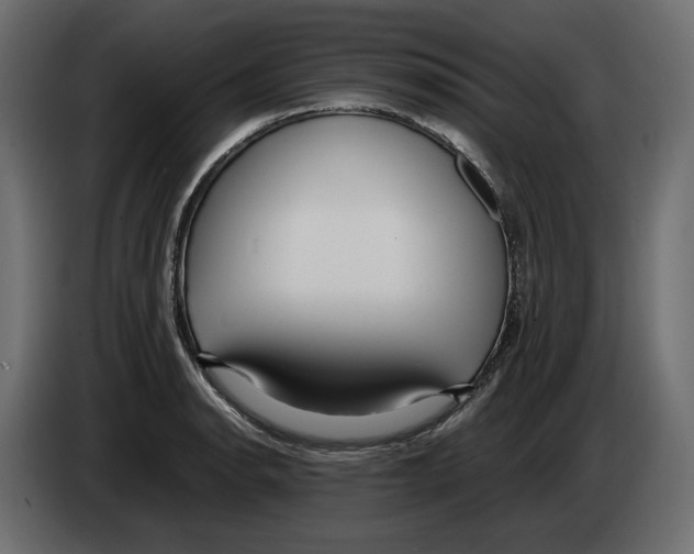 X0000083001134200703020859