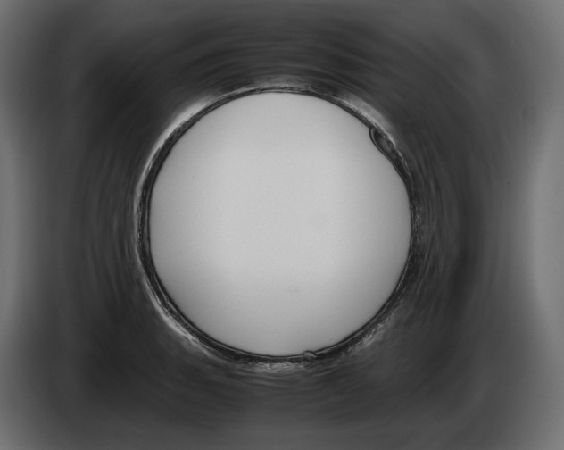 X0000083001135200703020859