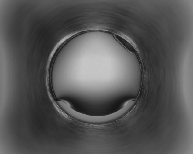 X0000083001136200703020859