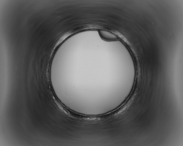 X0000083001137200703020859