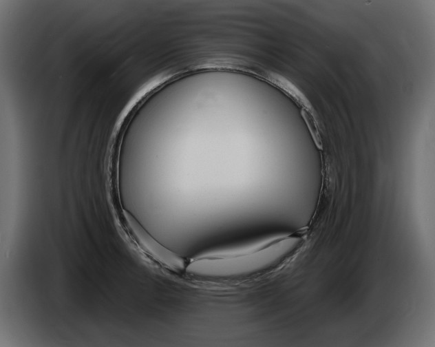 X0000083001138200703020859