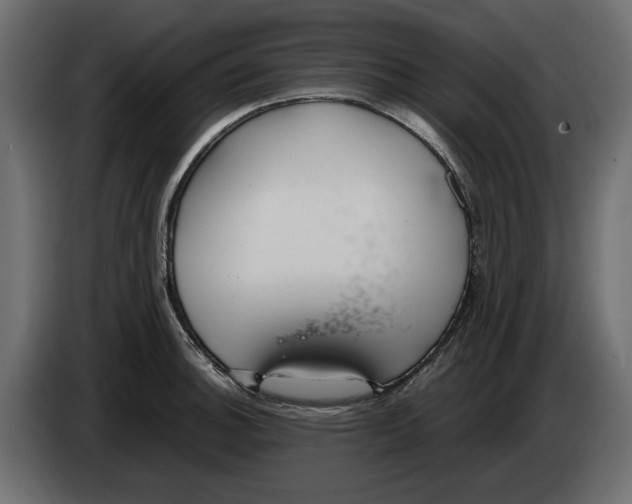 X0000083001140200703020859