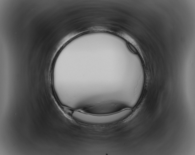 X0000083001141200703020859