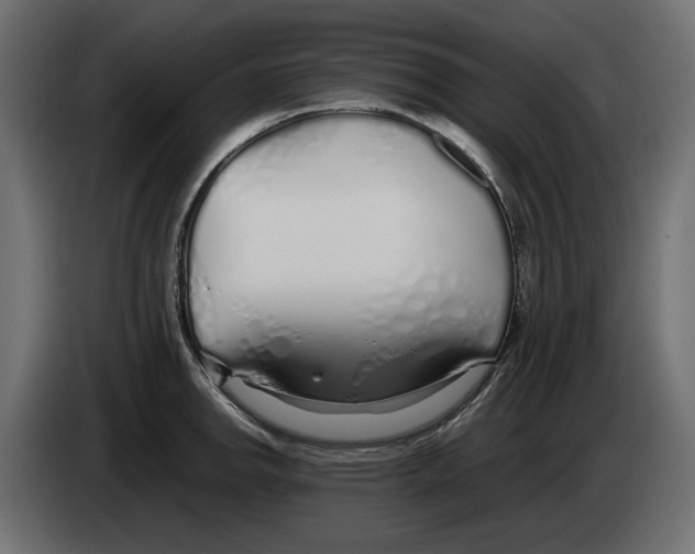 X0000083001142200703020859