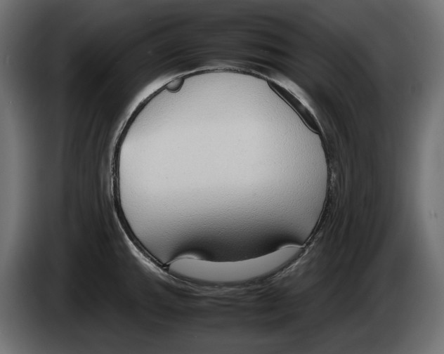 X0000083001143200703020859