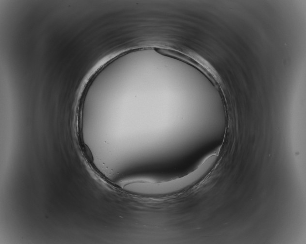 X0000083001144200703020859