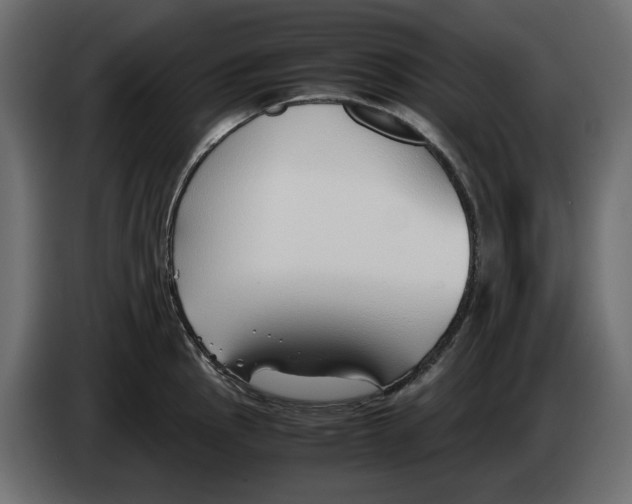 X0000083001145200703020859