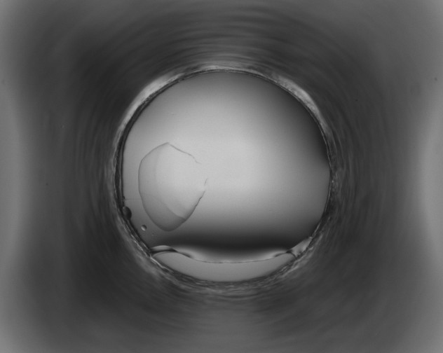 X0000083001146200703020859