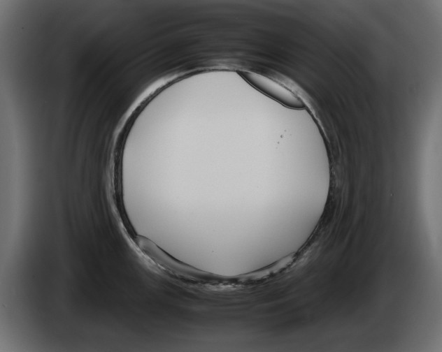 X0000083001147200703020859