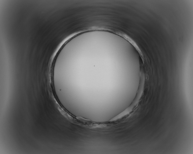 X0000083001148200703020859