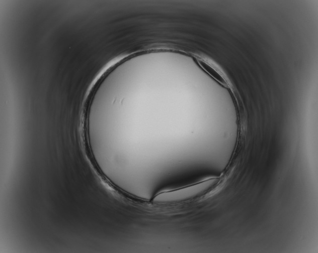 X0000083001149200703020859