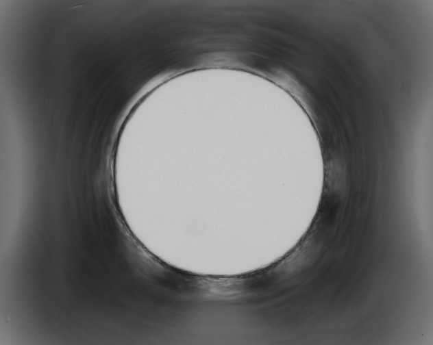 X0000083001150200703020859