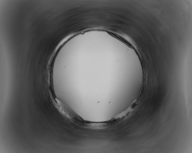 X0000083001151200703020859