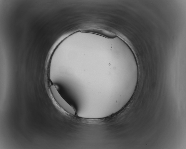 X0000083001152200703020859