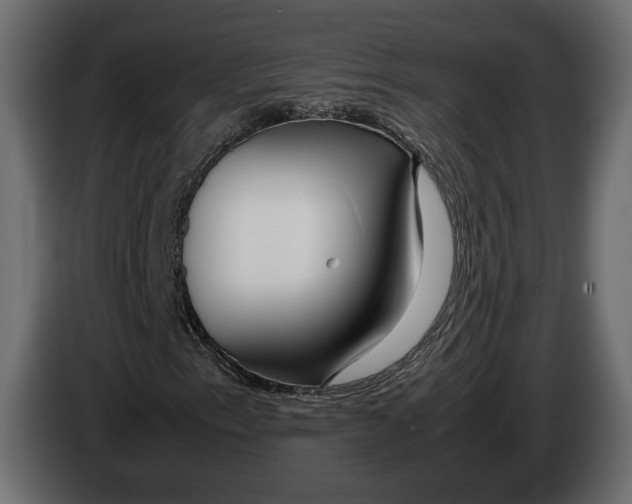 X0000083001153200703020858