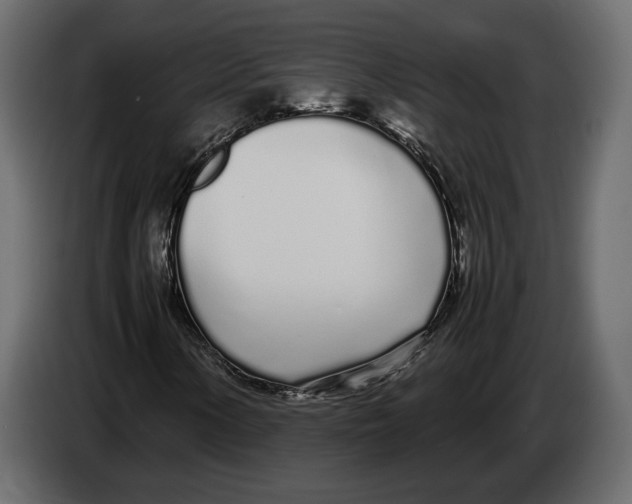 X0000083001154200703020858