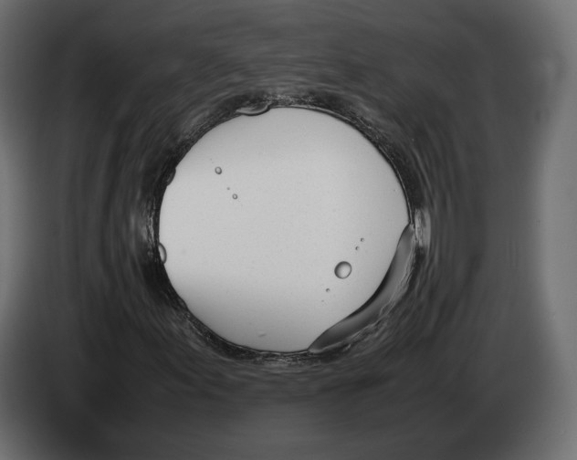 X0000083001155200703020858