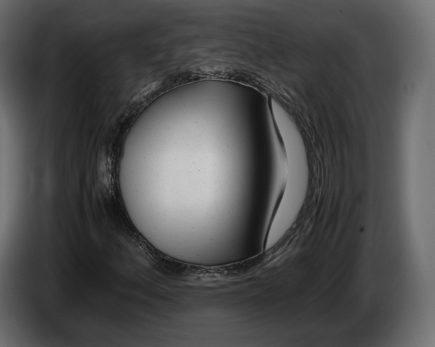 X0000083001156200703020858