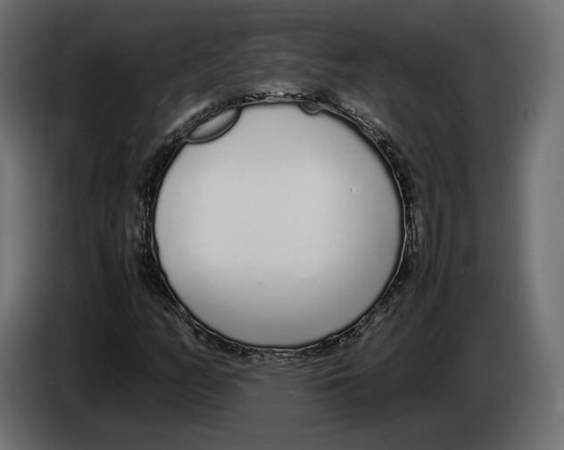 X0000083001158200703020858