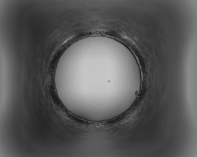 X0000083001159200703020858