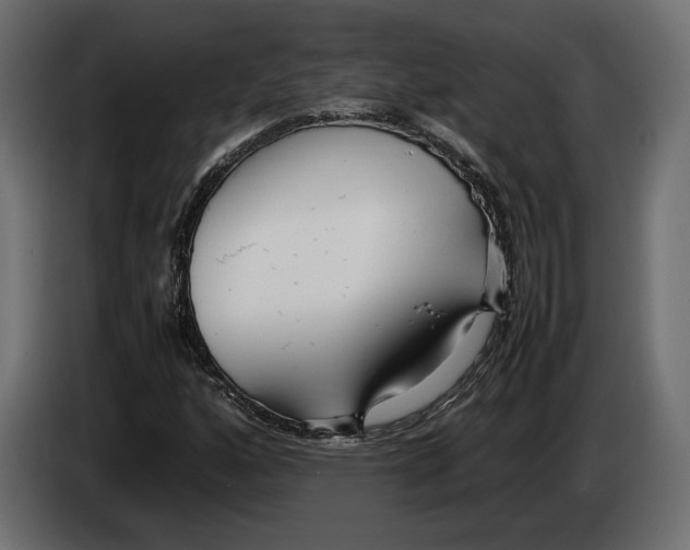 X0000083001160200703020858