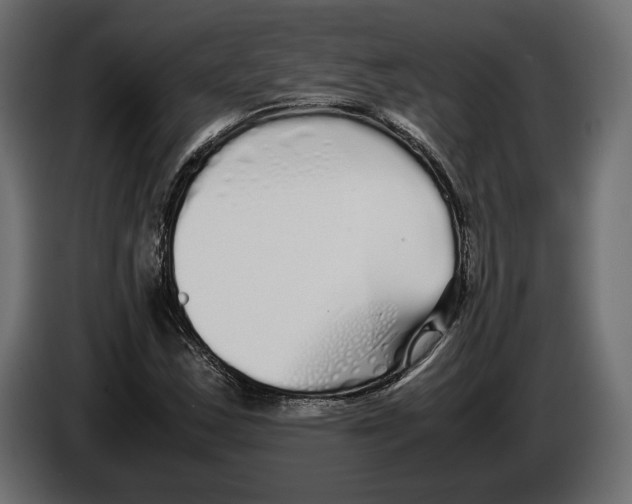 X0000083001163200703020858