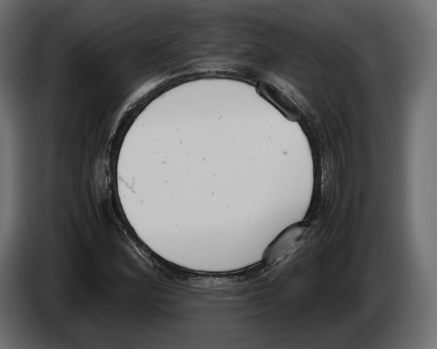 X0000083001164200703020858