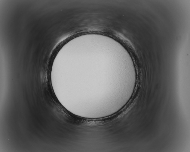 X0000083001166200703020858